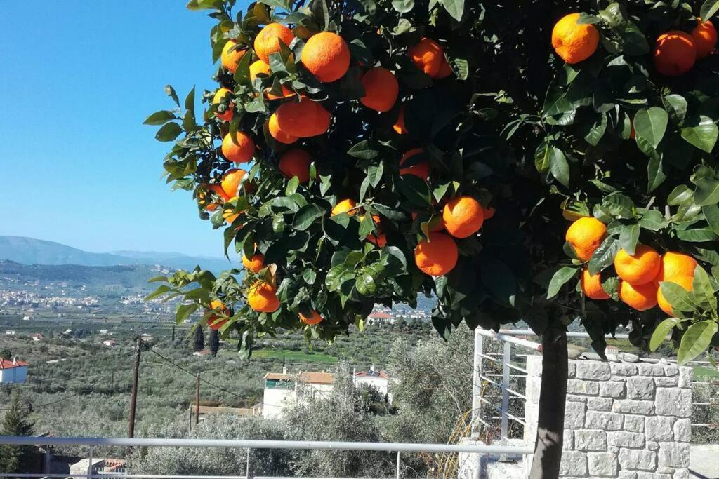 דירות Nafplio, Hill With An Amazing View מראה חיצוני תמונה